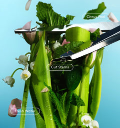 Skin Replenishing Body Wash P6