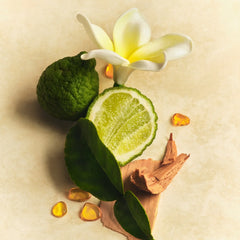 Scent Layering Trio J7