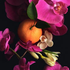 Scent Layering Trio I6